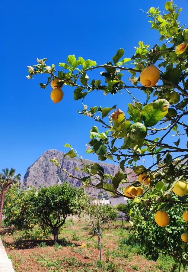 Casa Vacanze Il Faro San Vito Lo Capo-Trapani-Sicilia Ovest Holiday Home المظهر الخارجي الصورة